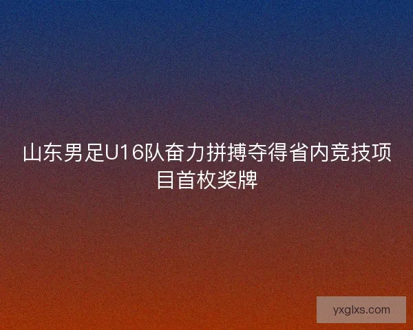 山东男足U16队奋力拼搏夺得省内竞技项目首枚奖牌