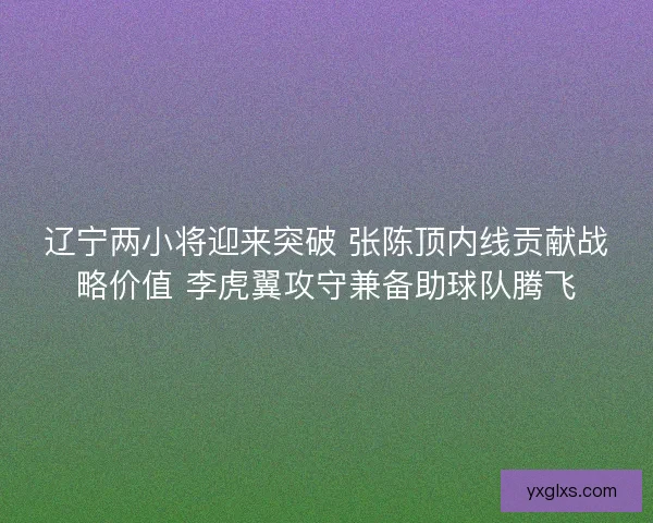 辽宁两小将迎来突破 张陈顶内线贡献战略价值 李虎翼攻守兼备助球队腾飞